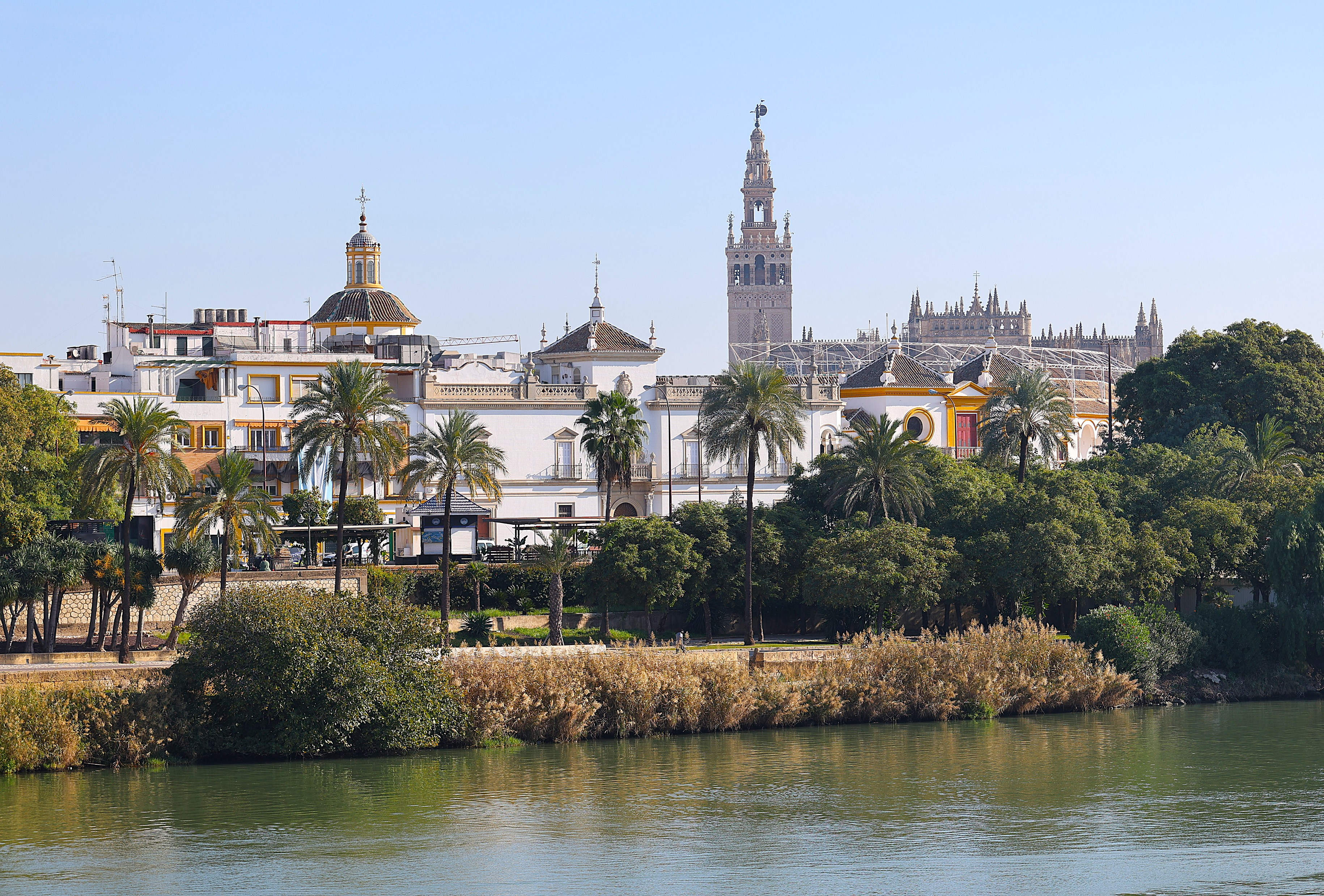 Triana